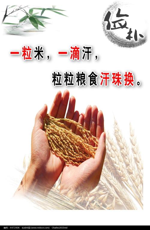高中毕业证的照片重要吗